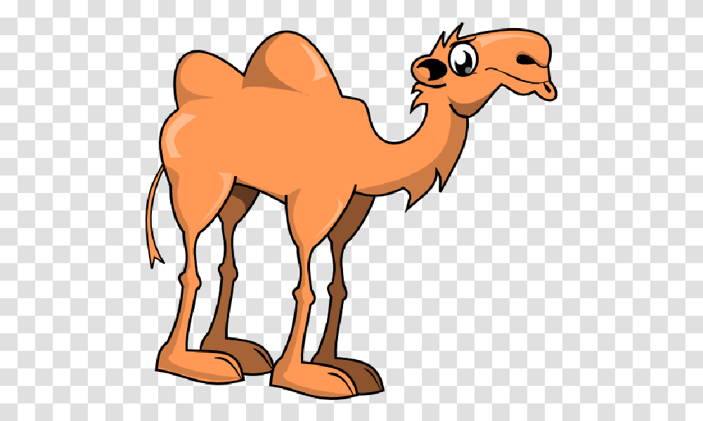 Cute Camel Clipart Funny Pictures Camel Clipart, Mammal, Animal Transparent Png