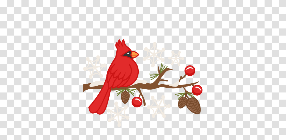 Cute Cardinal Cliparts Free Download Clip Art, Bird, Animal Transparent Png