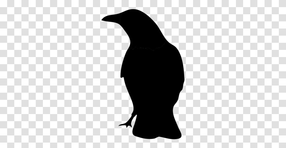Cute Cartoon Raven Images Adlie Penguin, Silhouette, Back, Bird, Animal Transparent Png