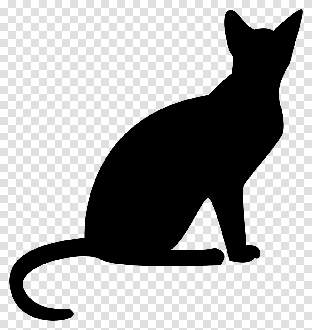 Cute Cat Free Stock Vector Cat, Animal, Mammal, Silhouette, Pet Transparent Png