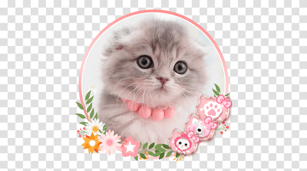 Cute Cat Live Launcher Theme 3d Wallpapers Apps On Google Play Cute Wallpaper Kucing Kartun Pink, Kitten, Pet, Mammal, Animal Transparent Png