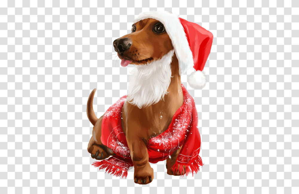 Cute Christmas Animals, Dog, Pet, Canine, Mammal Transparent Png