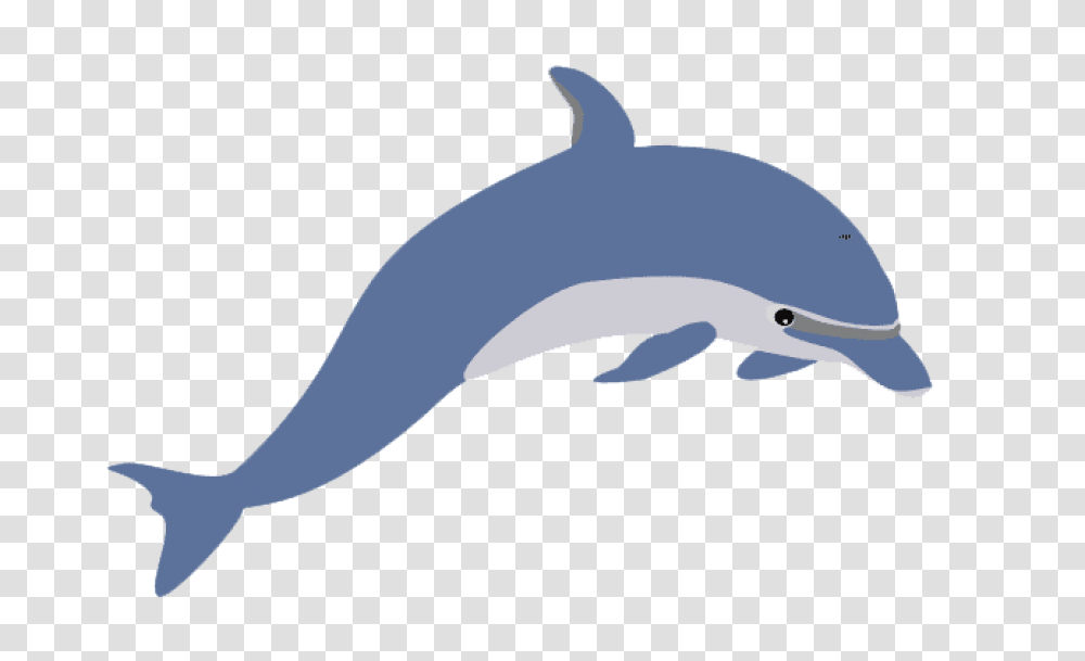 Cute Clipart Dolphin, Mammal, Sea Life, Animal Transparent Png