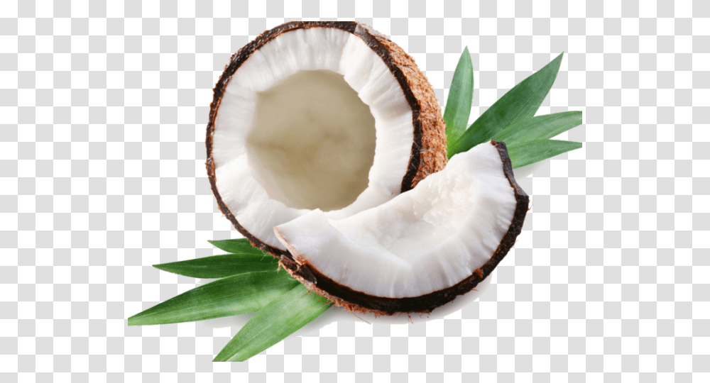 Cute Coconut Background, Plant, Vegetable, Food, Fruit Transparent Png