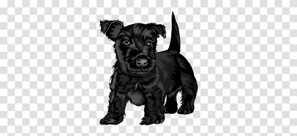 Cute Dog Clipart With Black Background Collection, Tiger, Wildlife, Mammal, Animal Transparent Png