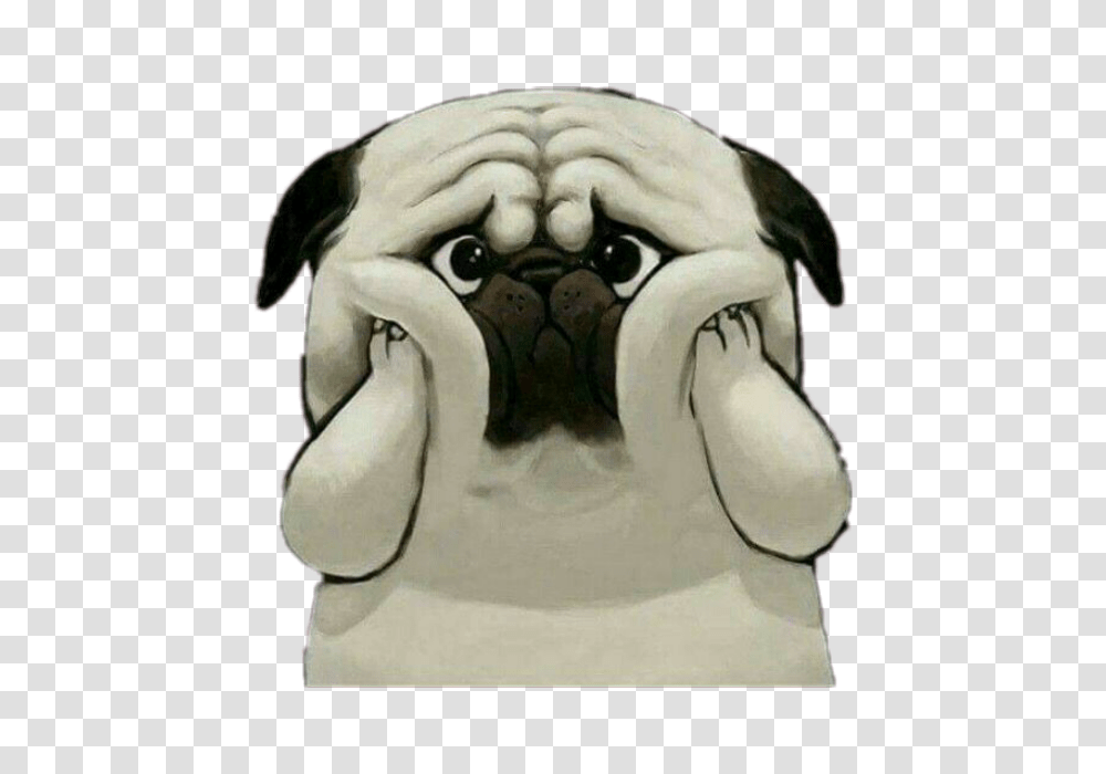 Cute Dog Sad Shocked, Pug, Pet, Canine, Animal Transparent Png