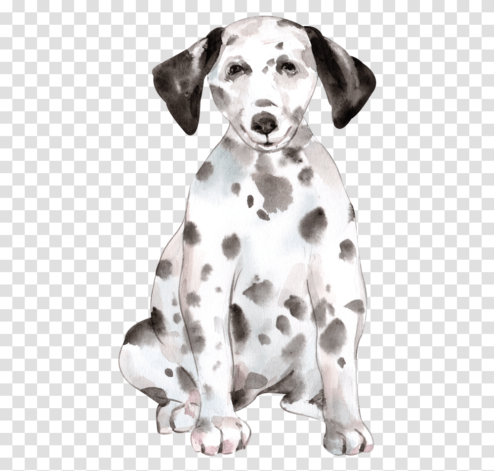 Cute Dog Watercolor By We Studio Dalmatian, Cow, Cattle, Mammal, Animal Transparent Png