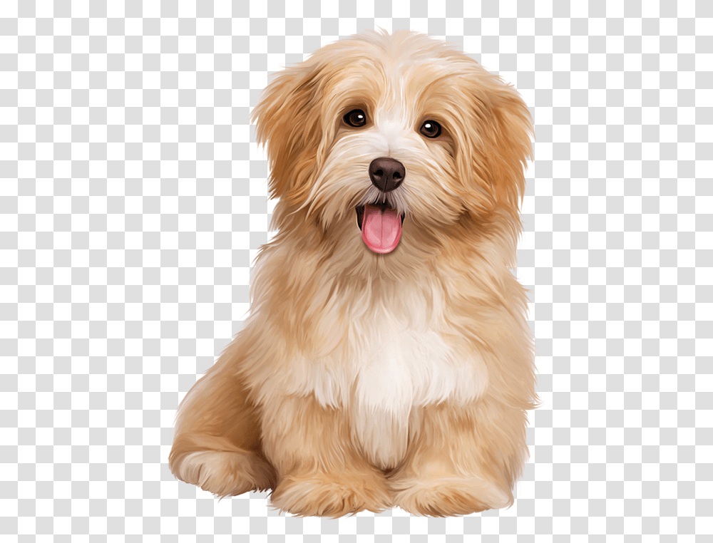 Cute Dogs Clipart Dogs Sitting, Pet, Canine, Animal, Mammal Transparent Png