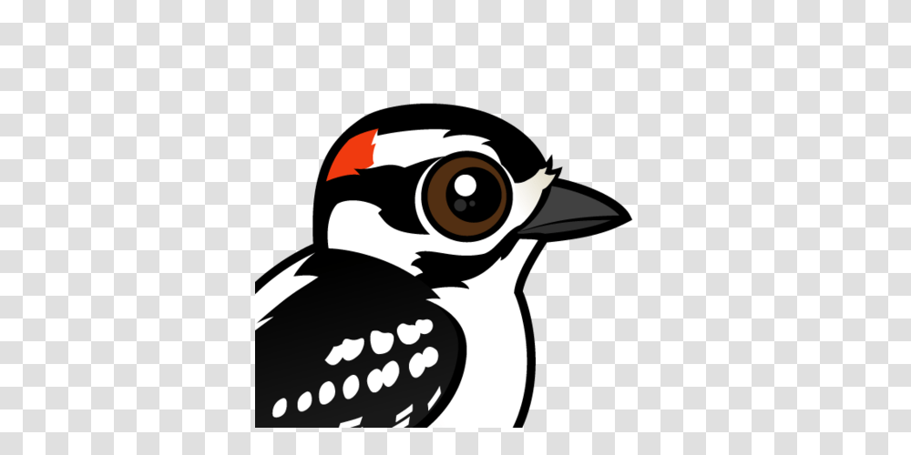 Cute Downy Woodpecker, Animal, Bird, Flicker Bird, Stencil Transparent Png