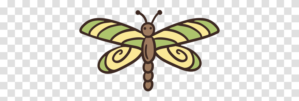 Cute Dragon Fly Insect Insects, Animal, Invertebrate, Dragonfly, Anisoptera Transparent Png