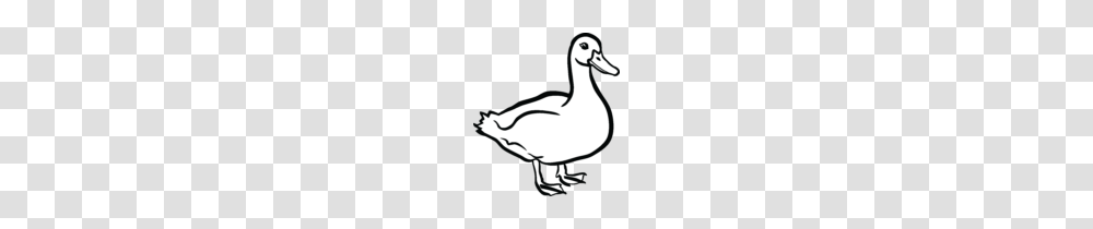 Cute Duck Clipart Clip Art, Goose, Bird, Animal Transparent Png