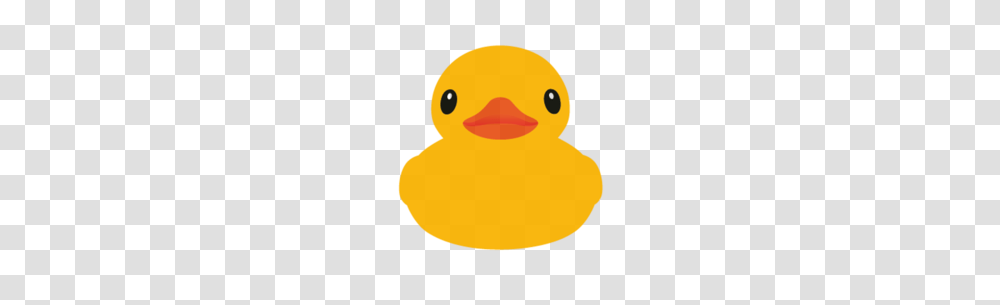 Cute Duck Pond Clipart, Poultry, Fowl, Bird, Animal Transparent Png