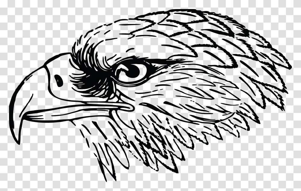Cute Eagle Black And White Falcon Clipart Black And White, Cat, Pet, Mammal, Animal Transparent Png