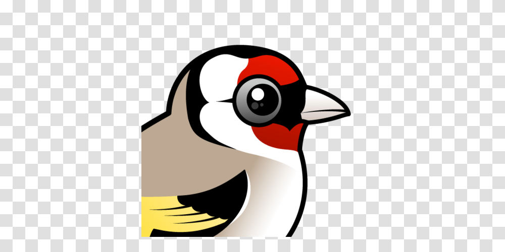 Cute European Goldfinch, Beak, Bird, Animal Transparent Png