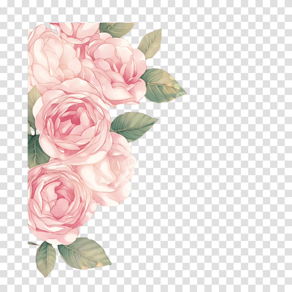 Cute Flower 3739474 Vippng Pink Roses, Plant, Blossom, Peony, Floral Design Transparent Png