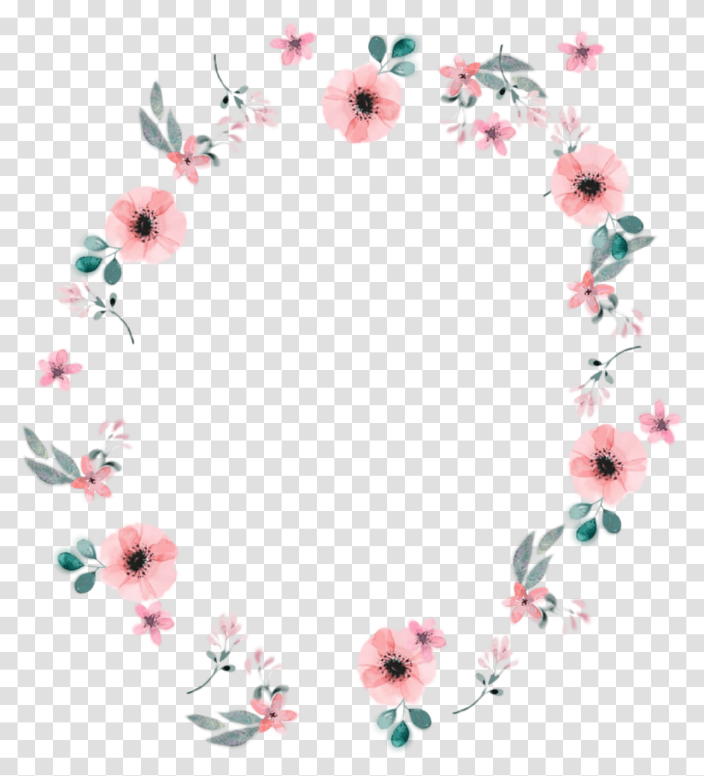 Cute Flower Circle Border, Plant, Floral Design, Pattern Transparent Png