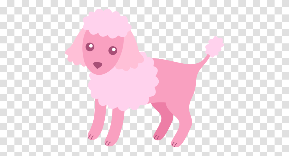 Cute Fluffy Pink Poodle, Mammal, Animal, Pet, Canine Transparent Png
