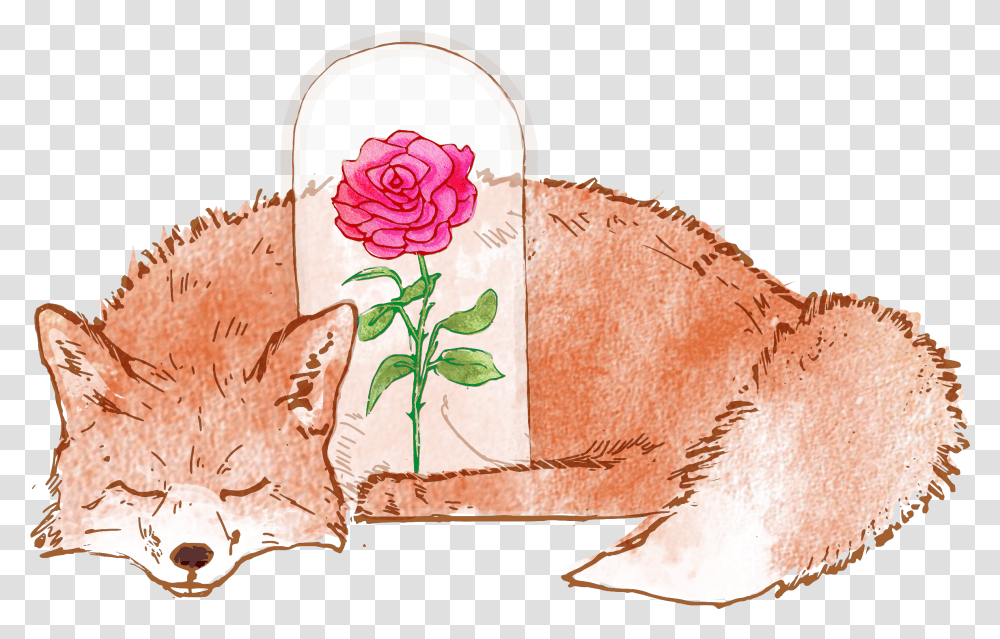 Cute Fox, Pork, Food, Ham, Flower Transparent Png