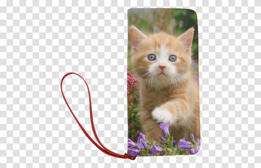 Cute Ginger Kitten Funny Baby Pet Animal In A Garden Cute Ginger Kitten, Cat, Mammal, Plant, Flower Transparent Png