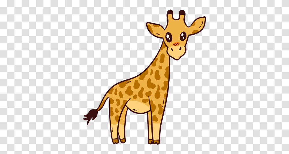 Cute Giraffe Tall Neck Tail Long Giraffe Cartoon, Wildlife, Mammal, Animal, Deer Transparent Png