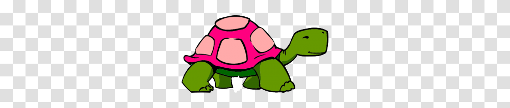 Cute Girl Turtle Clipart, Sunglasses, Accessories, Outdoors, Nature Transparent Png