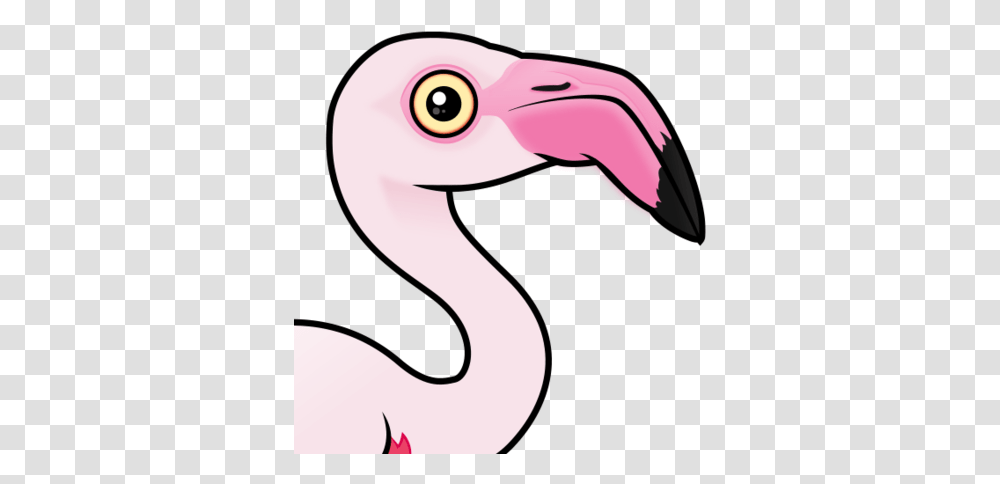 Cute Greater Flamingo By Birdorable < Meet The Birds Flamingo Birdorable, Animal, Beak Transparent Png