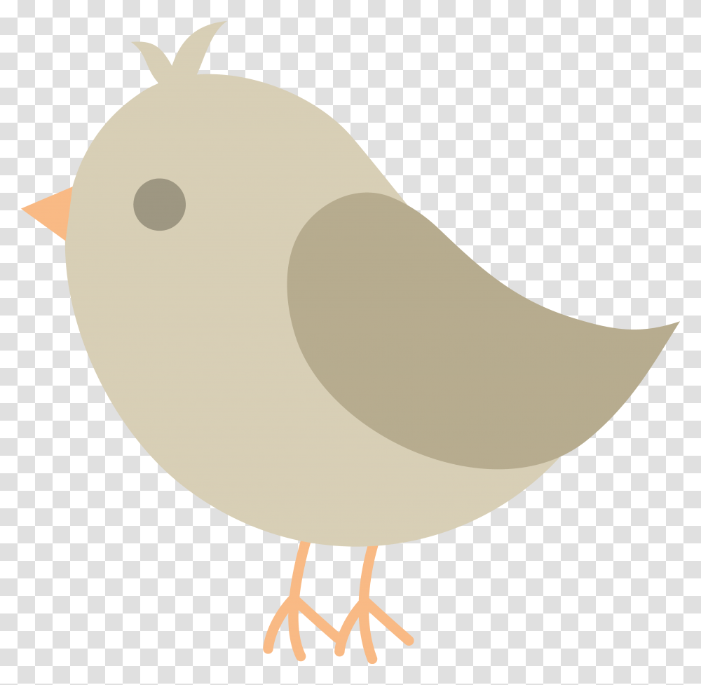 Cute Grey Bird, Postage Stamp, Plant, Tree Transparent Png