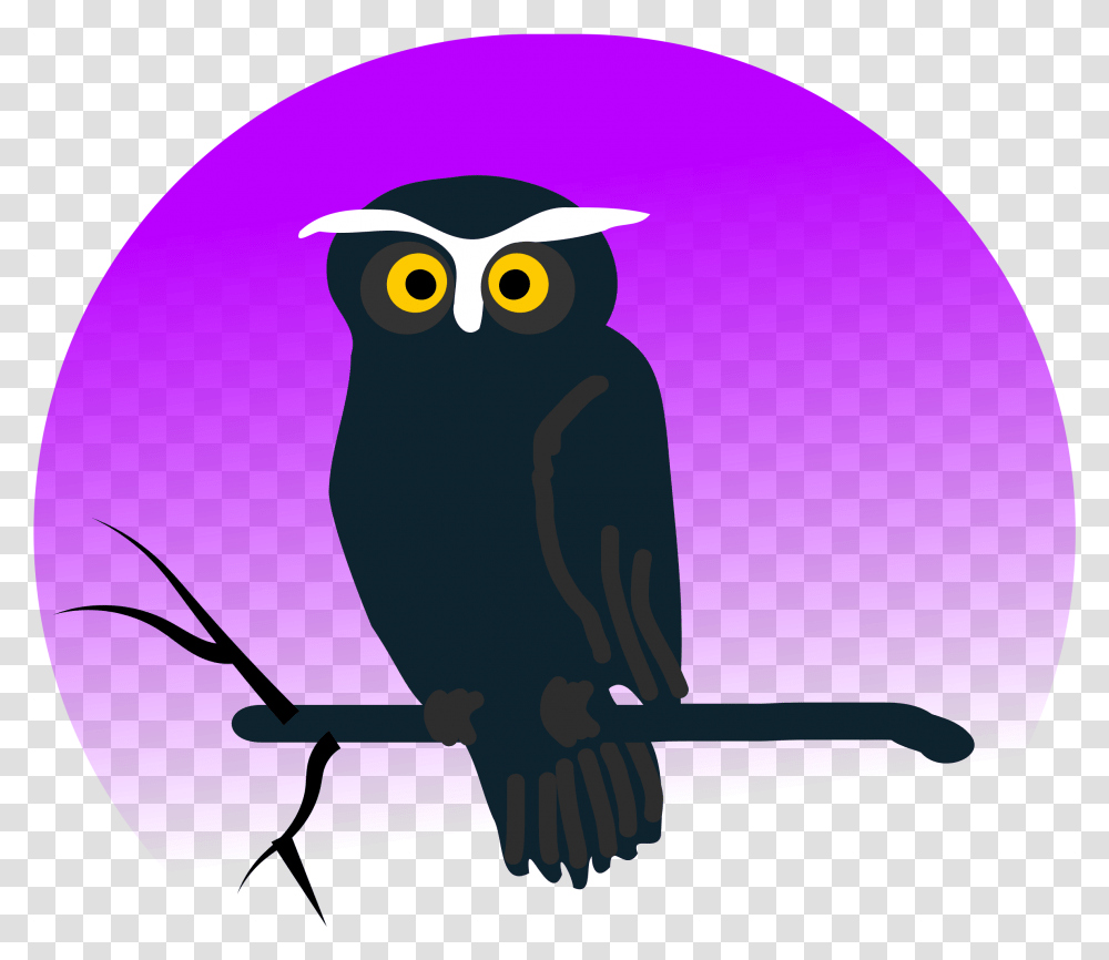 Cute Halloween Owl Clipart, Bird, Animal Transparent Png