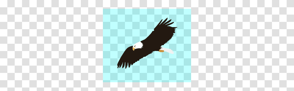 Cute Hawk Clipart, Eagle, Bird, Animal, Vulture Transparent Png