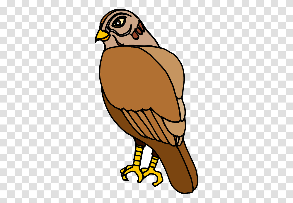 Cute Hawk Cliparts, Bird, Animal, Partridge, Quail Transparent Png