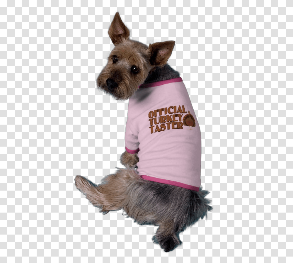 Cute Holiday Pet Shirt Official Turkey Taster It's So Hard To Be Me, Dog, Canine, Animal, Mammal Transparent Png