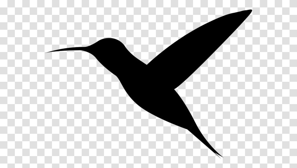 Cute Hummingbird Full Hd, Bow, Animal, Arm, Silhouette Transparent Png