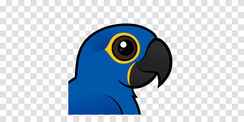 Cute Hyacinth Macaw, Beak, Bird, Animal, Parrot Transparent Png