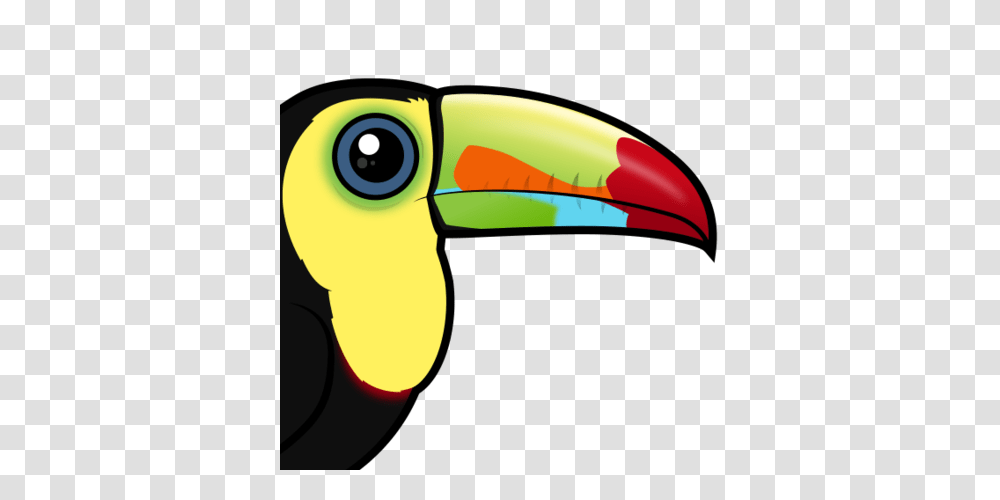 Cute Keel Billed Toucan, Beak, Bird, Animal, Blow Dryer Transparent Png
