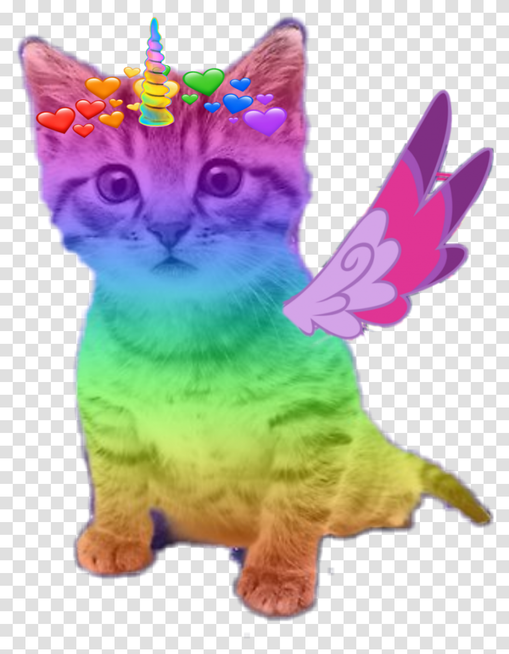 Cute Kitten Cute Cats With Wings, Pet, Mammal, Animal, Toy Transparent Png