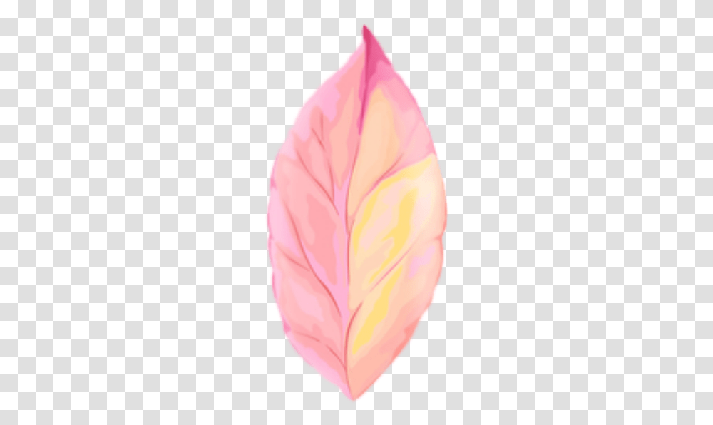 Cute Leaves Pastel Spring Overlay Edits, Apparel, Flower, Plant Transparent Png