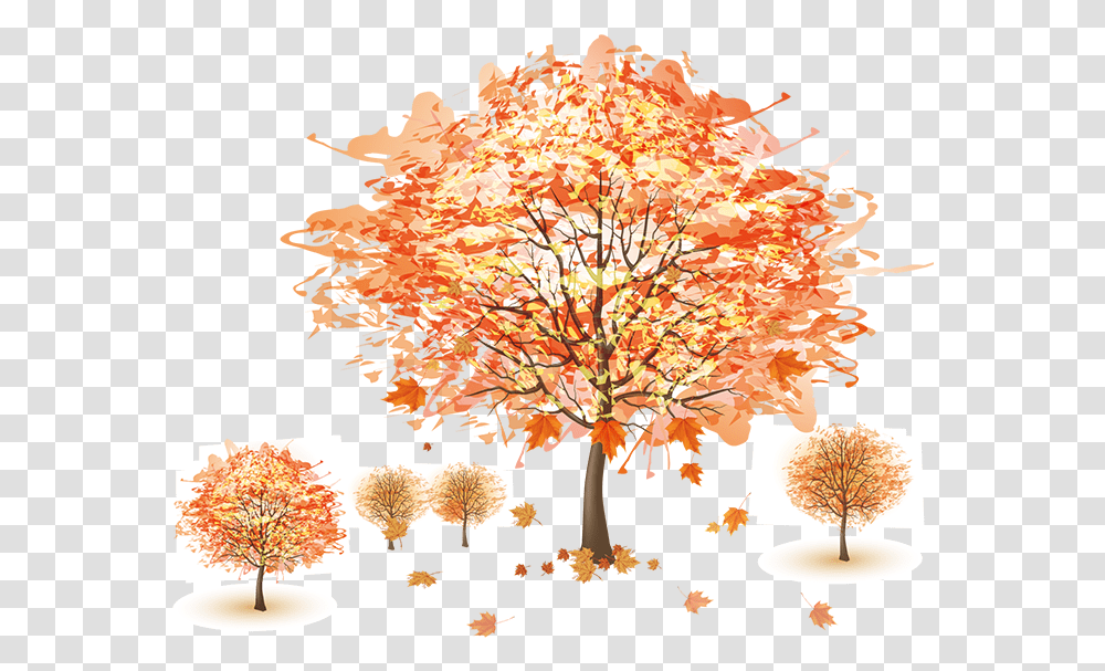 Cute Mac Wallpapers Hd, Tree, Plant, Maple, Flower Transparent Png