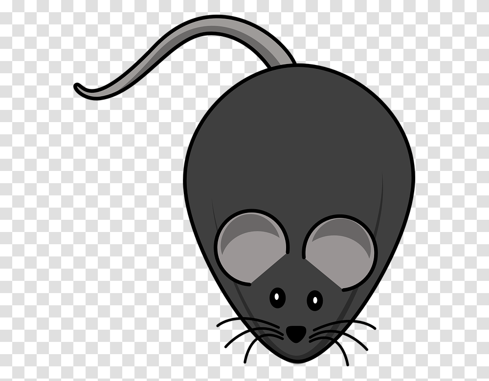 Cute Mouse Clipart Cartoon Rat, Stencil, Drawing Transparent Png