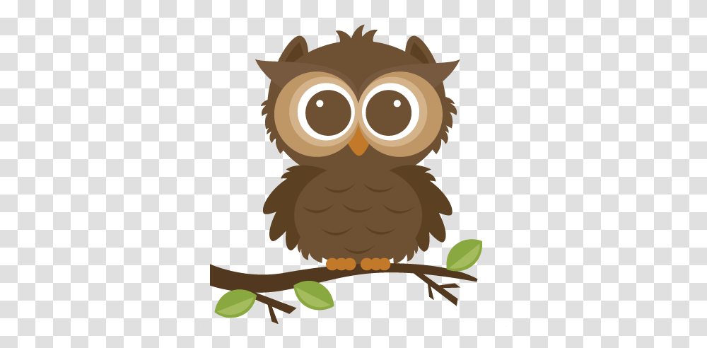 Cute Owl Clip Art Free, Bird, Animal, Eagle, Beak Transparent Png