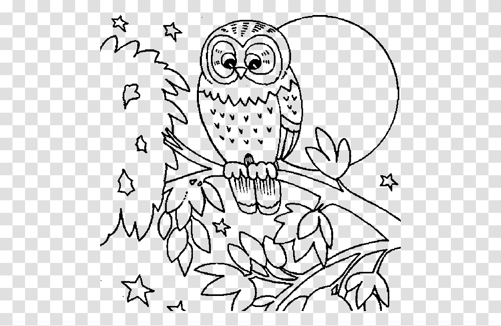 Cute Owl Coloring Pages Printable Fall Animal Coloring Pages, Bird, Sea Life, Crab, Seafood Transparent Png