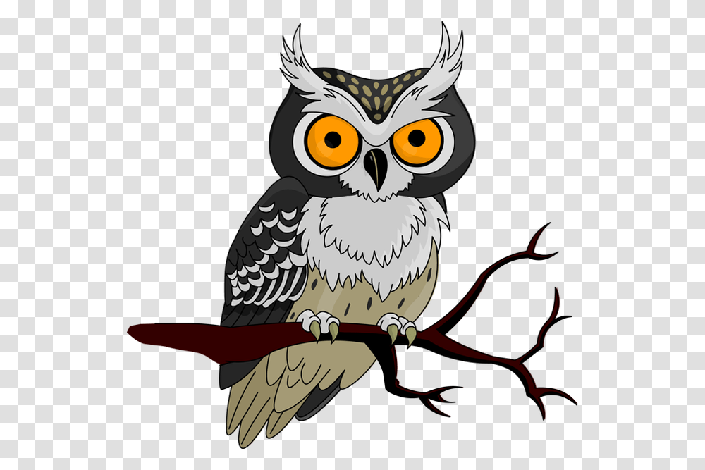 Cute Owl Halloween Owl Clipart, Bird, Animal Transparent Png