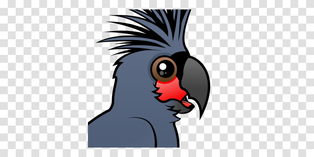 Cute Palm Cockatoo, Bird, Animal Transparent Png