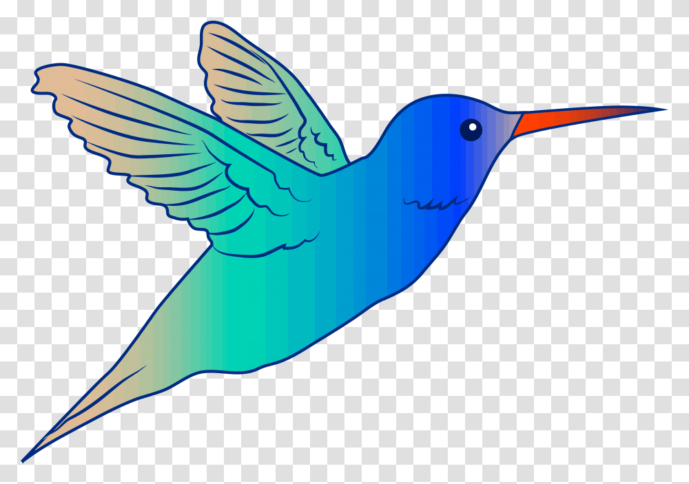 Cute Parrot Clipart Flying Bird Hummingbird Illustration Free, Bluebird, Animal, Beak, Jay Transparent Png