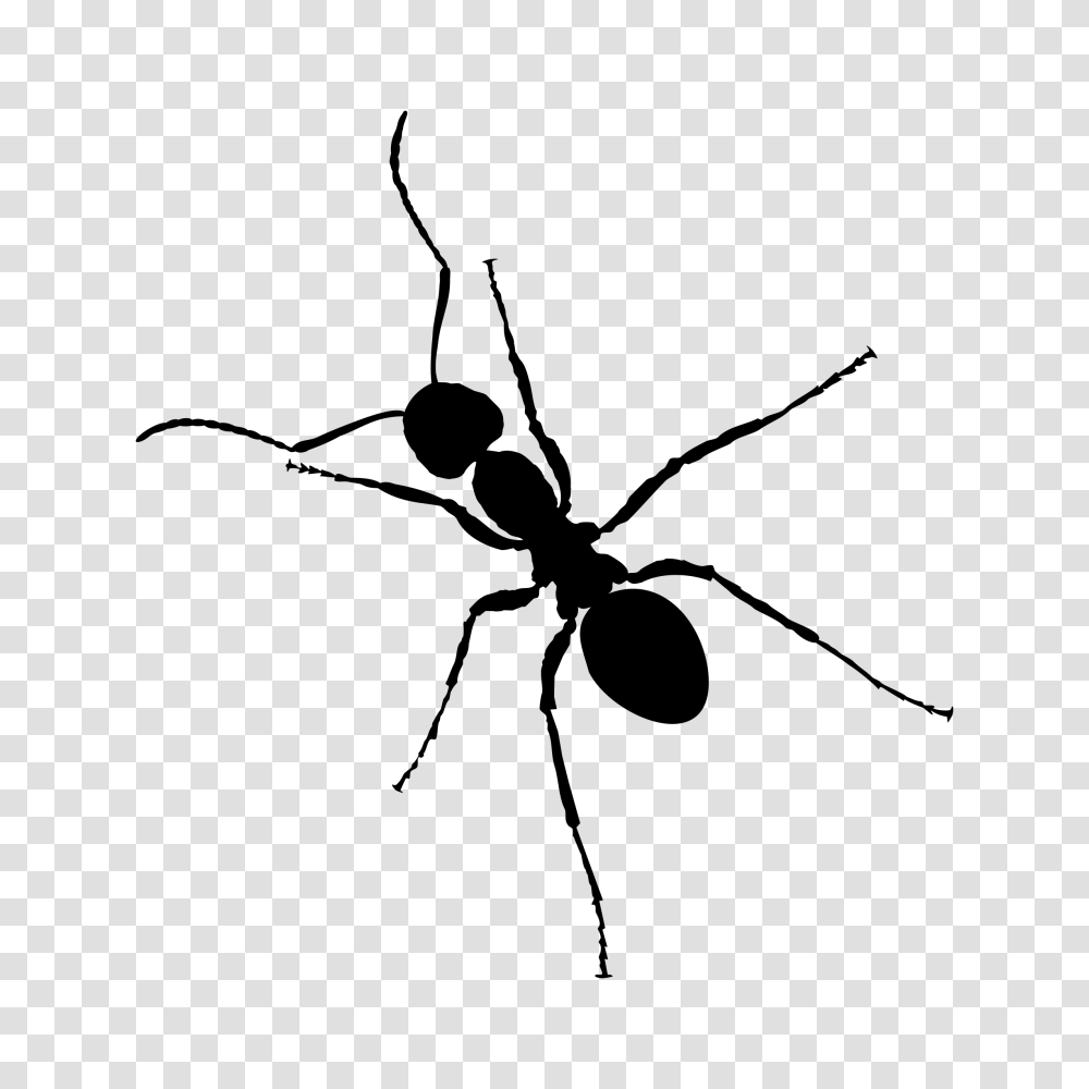 Cute Philadelphia Eagles Clip Art, Ant, Insect, Invertebrate, Animal Transparent Png