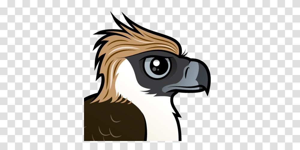 Cute Philippine Eagle, Bird, Animal, Bald Eagle, Horse Transparent Png