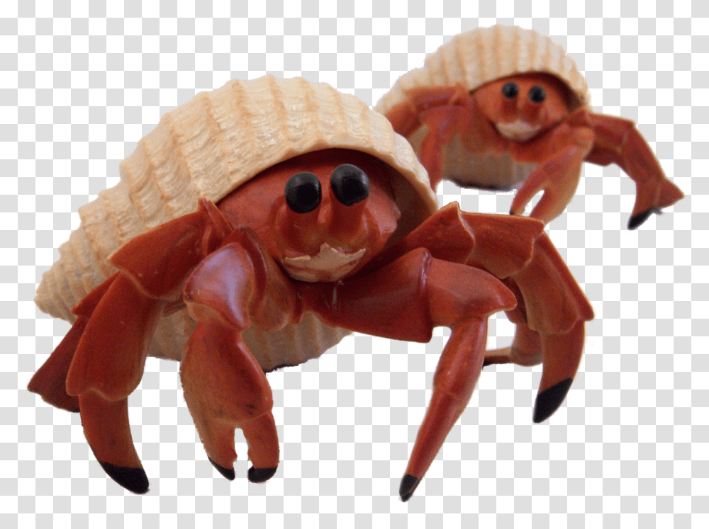 Cute Pictures Of Hermit Crabs, Seafood, Sea Life, Animal, Toy Transparent Png