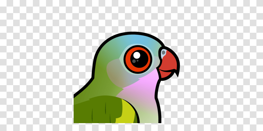 Cute Princess Parrot, Bird, Animal, Head, Beak Transparent Png