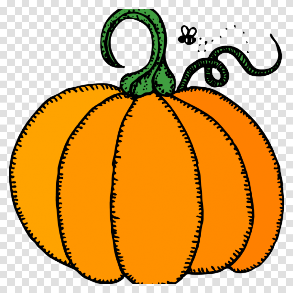 Cute Pumpkin Clipart Free Clipart Download, Vegetable, Plant, Food, Halloween Transparent Png