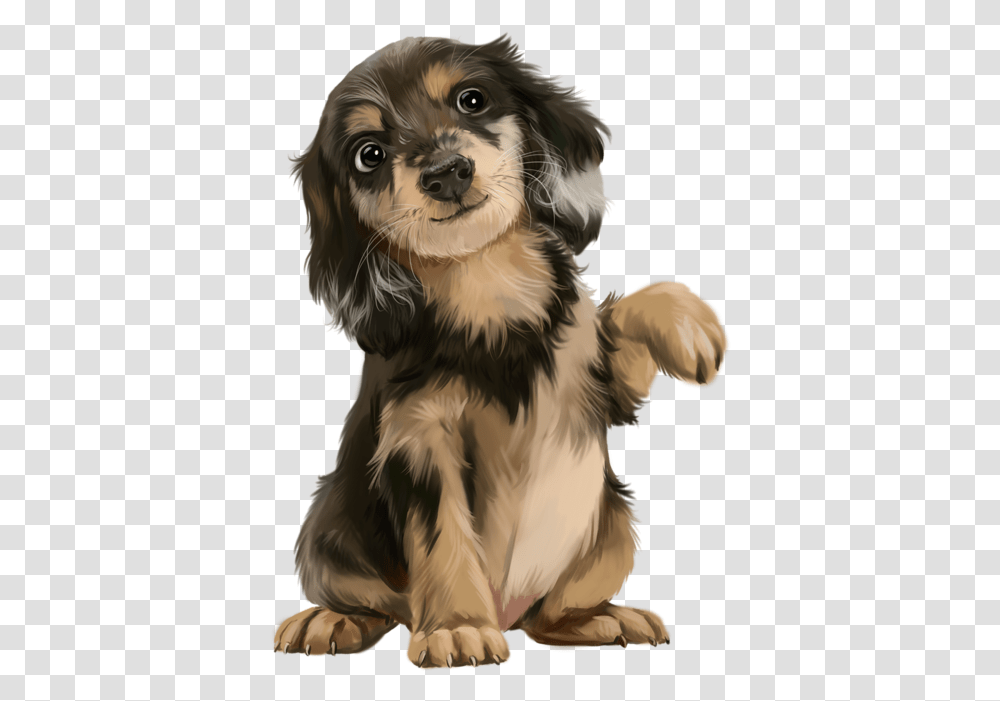 Cute Puppy, Dog, Pet, Canine, Animal Transparent Png