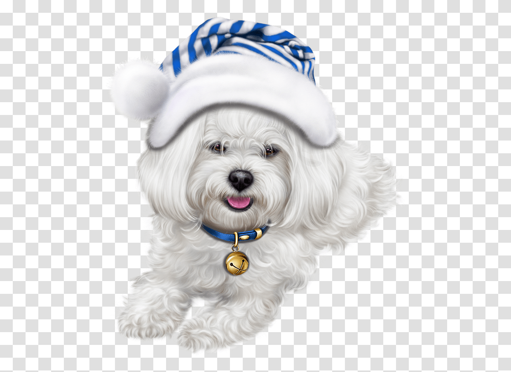 Cute Puppy Lhasa Apso Clipart Dog Shih Tzu Christmas, Pet, Canine, Animal, Mammal Transparent Png